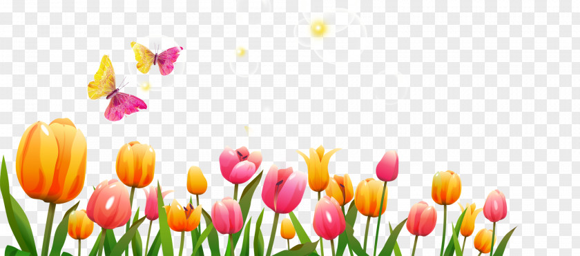 Rose Tulip Flower Icon PNG