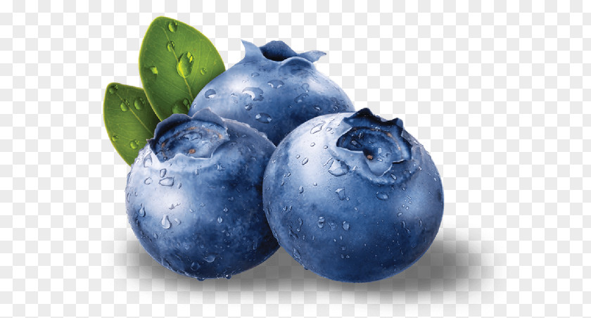 Blueberry Bilberry Fruit Antioxidant Seed PNG
