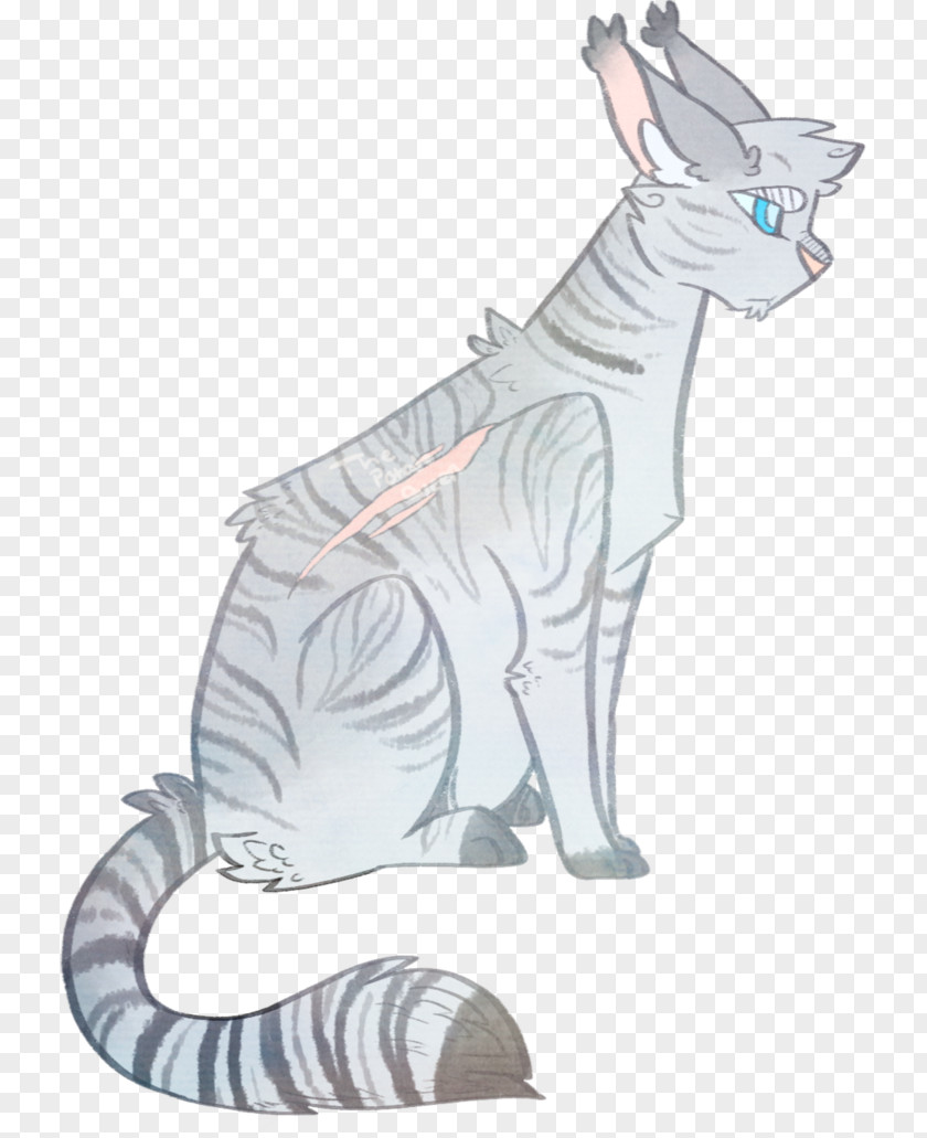 Cat Whiskers Drawing DeviantArt Warriors PNG