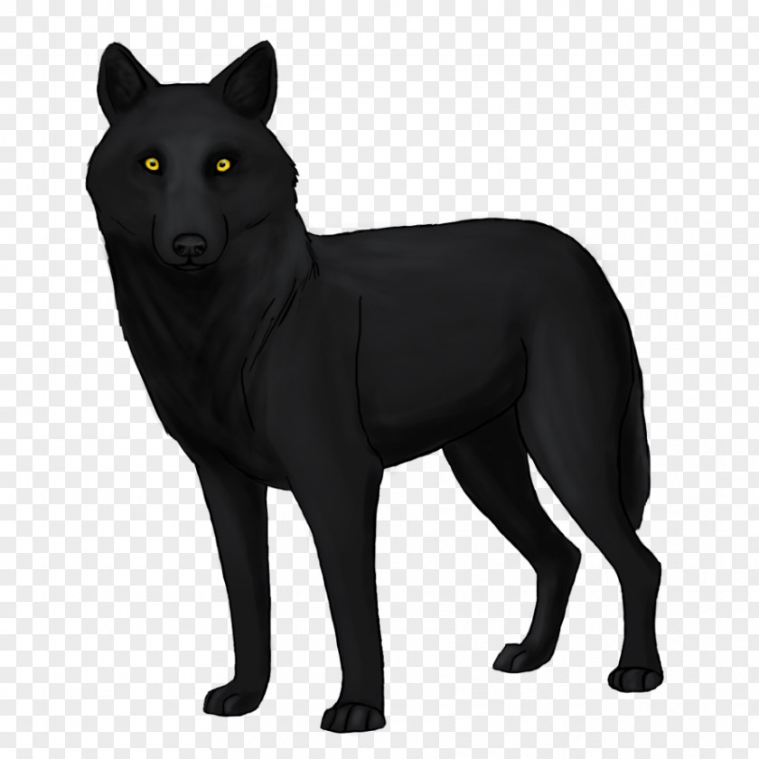 Coyote Drawing Schipperke Dog Breed Black Wolf PNG