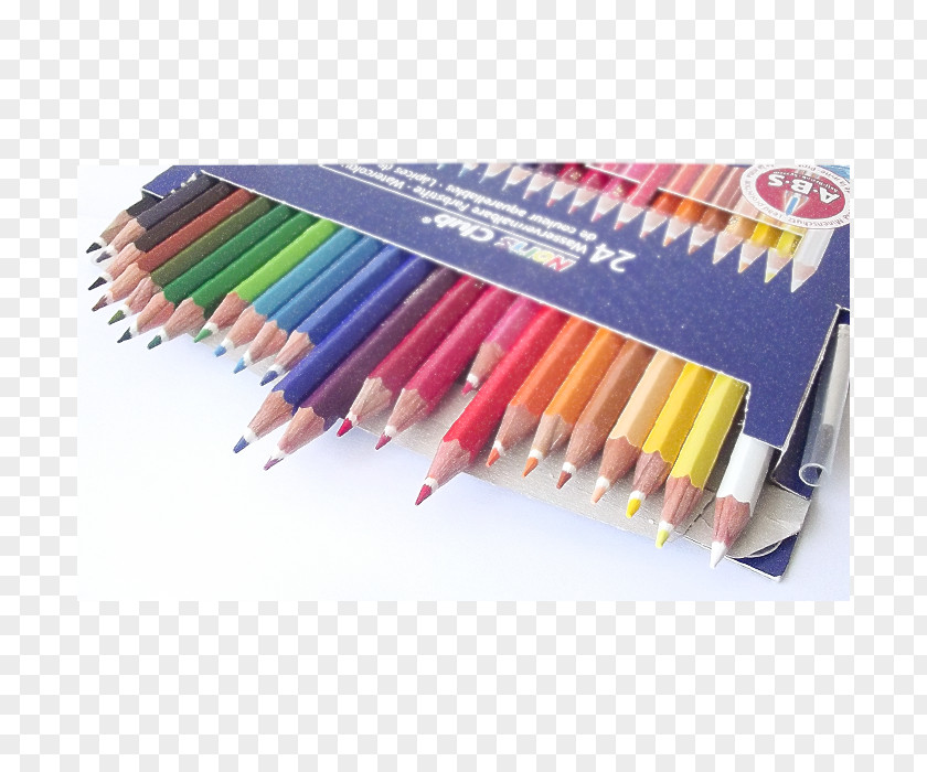 Pencil Colored Watercolor Painting Staedtler PNG