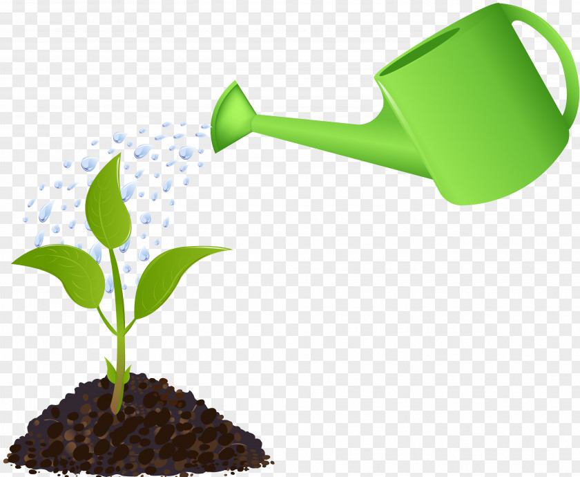 Plant Watering Cans Best Water Plants Garden Clip Art PNG
