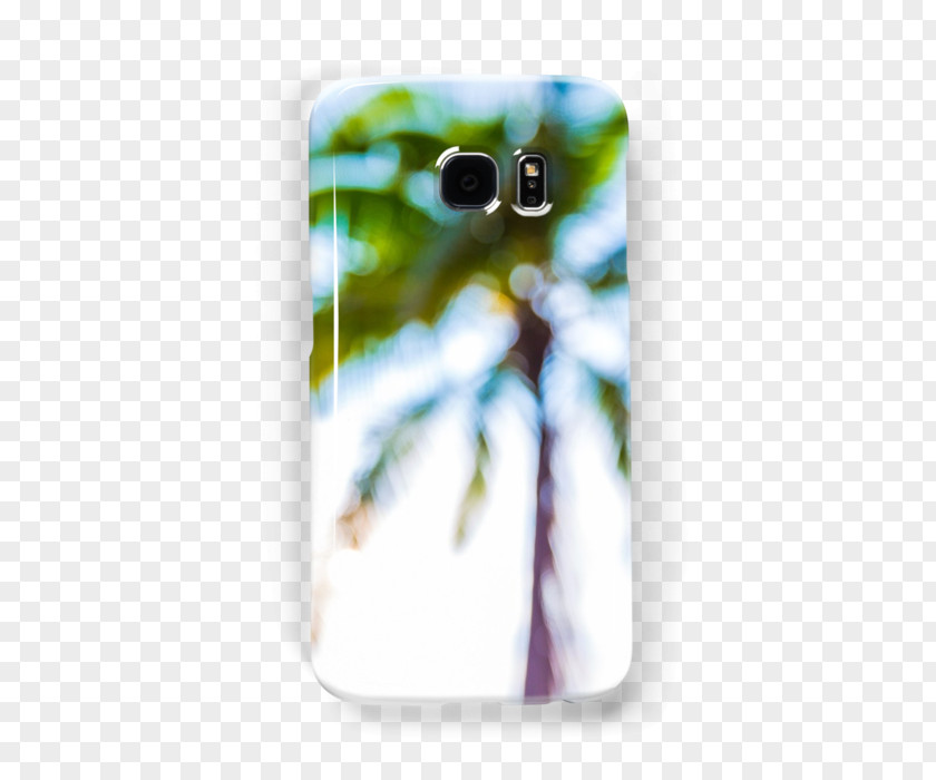 Posters Decorative Palm Leaves Mobile Phone Accessories Phones IPhone PNG