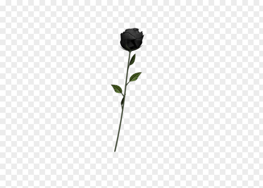 Undead Black Rose Art Emoji PNG