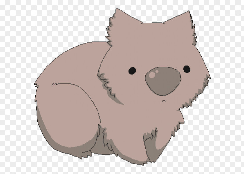 Wombat Cartoon Drawing PNG