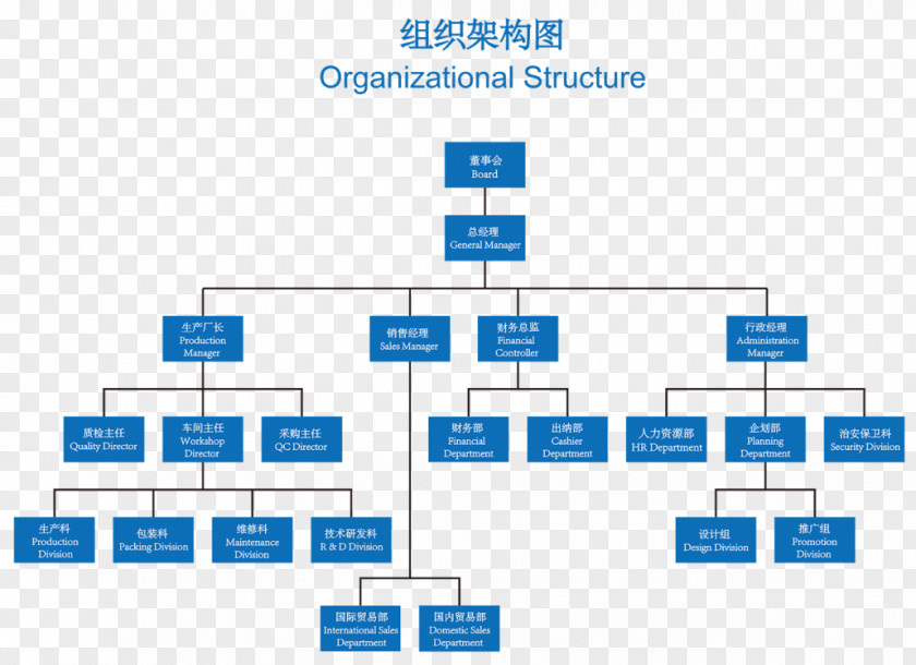 Business Organizational Structure Chart Diagram PNG