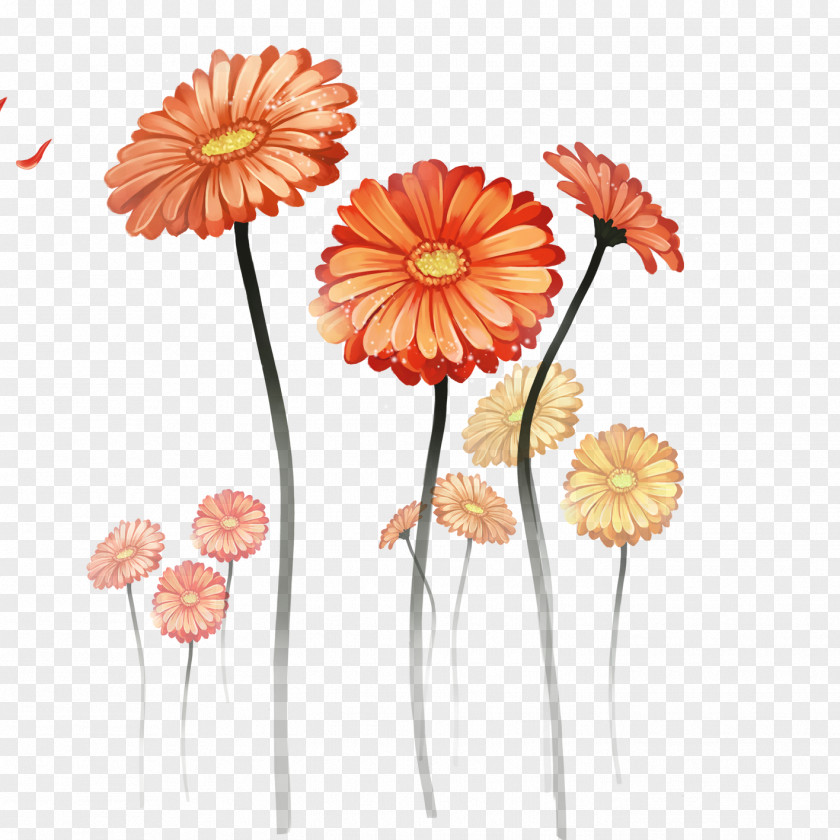 Chrysanthemum Download Tablet Computer Wallpaper PNG