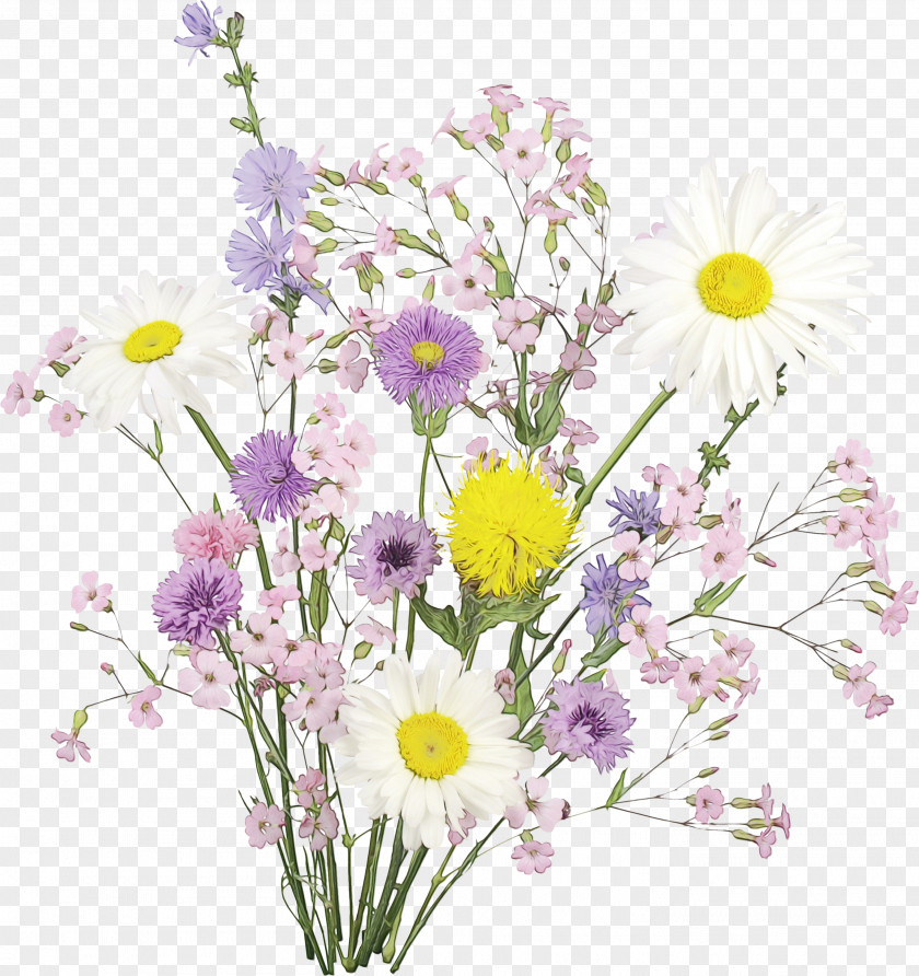 Floral Design PNG