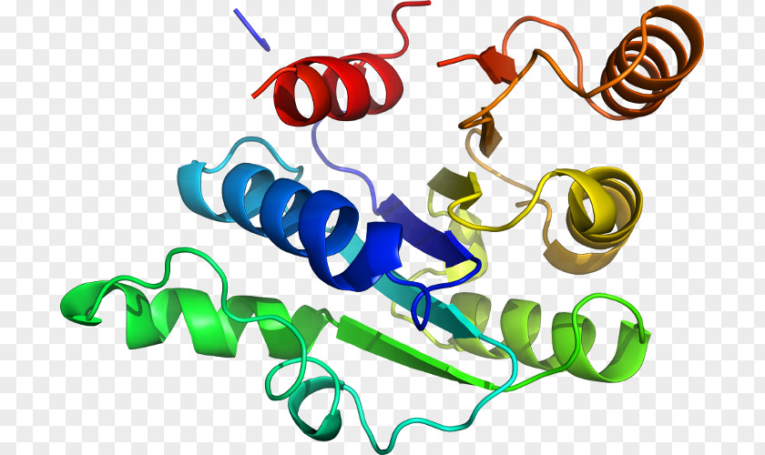 Glucose6phosphate Dehydrogenase Deficiency Clip Art Product Design Organism Line PNG