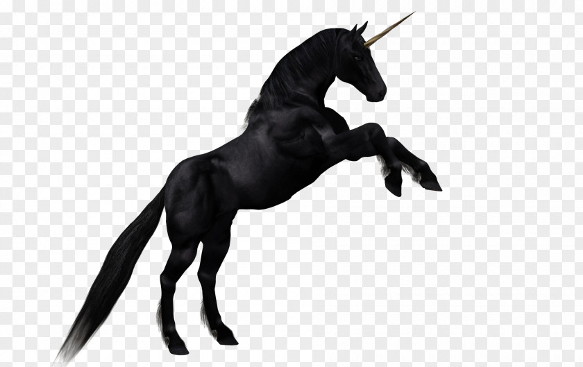 Horse Cartoon Picture Material,Dark Unicorn Drawing PNG