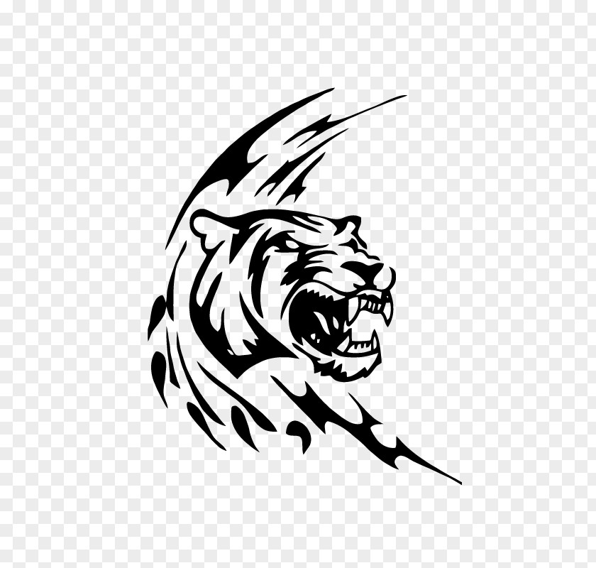 Lion Panther Leopard Drawing White Tiger PNG