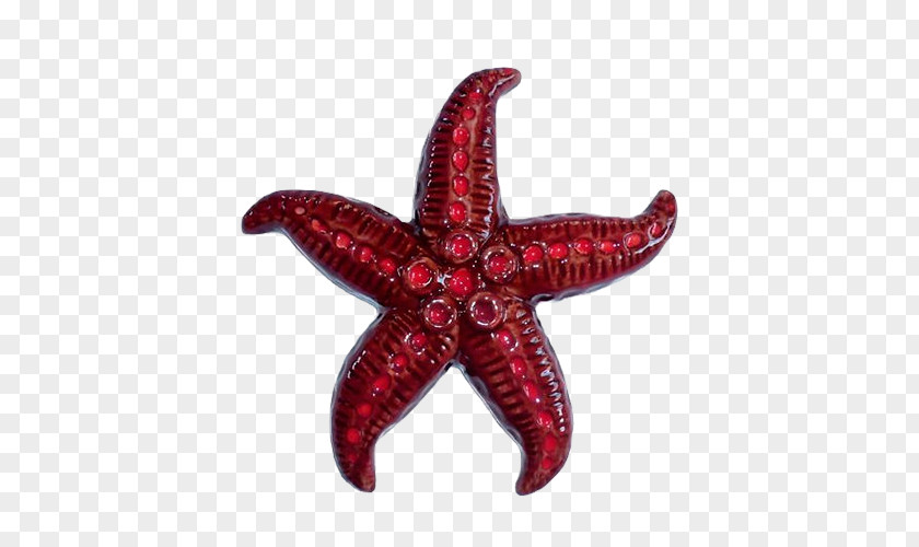 Red Starfish Cafe Restaurant Mugg & Bean Godiva Chocolatier Famous Brands PNG
