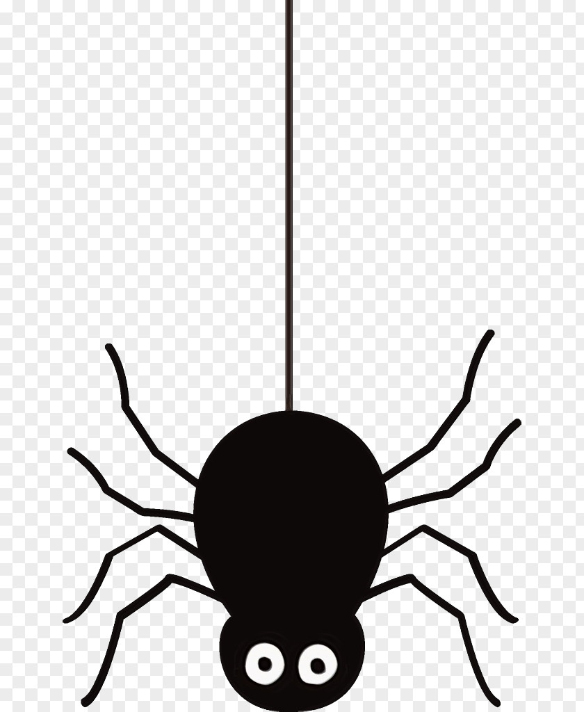 Arachnid Pest Spider PNG