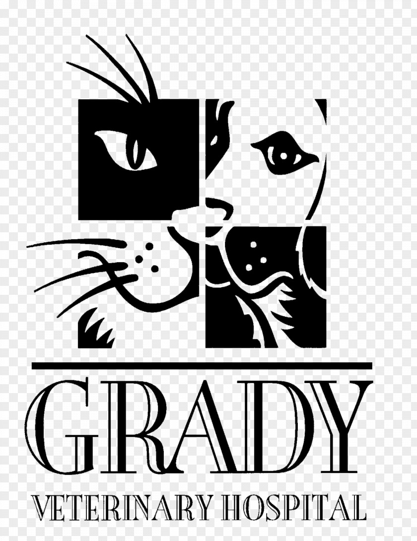 Cat Grady Veterinary Hospital Dog Veterinarian Clinique Vétérinaire PNG