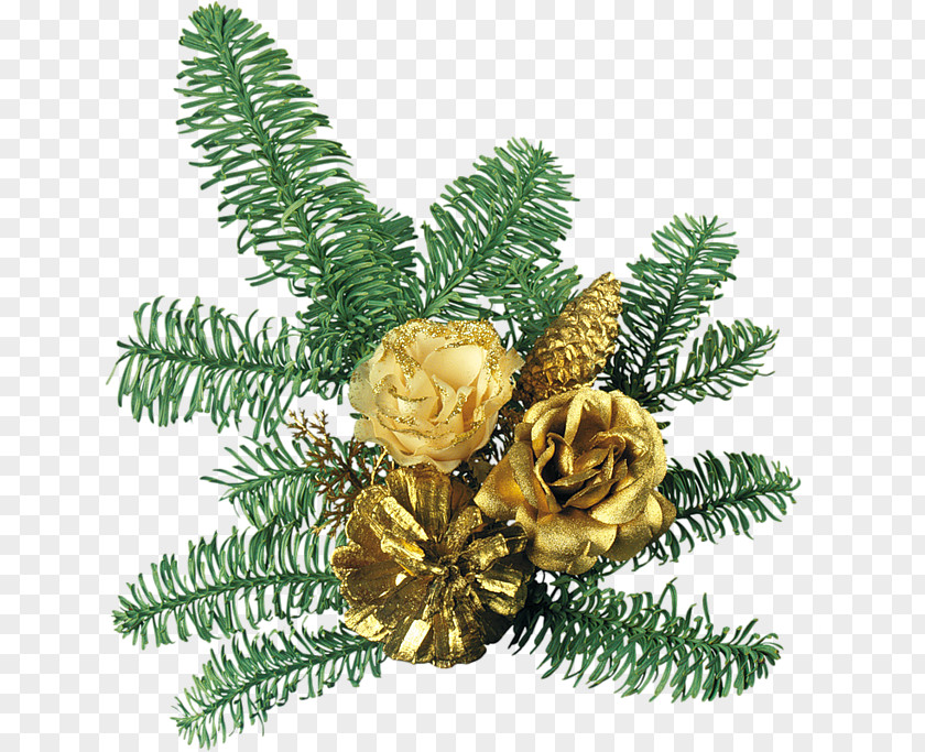 Christmas Fir Ornament Spruce Clip Art PNG