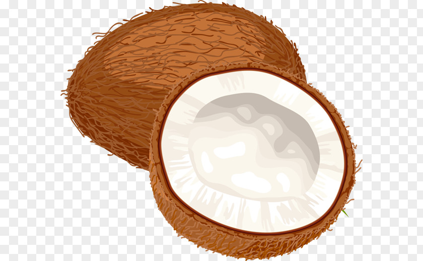 Coconuts Image Coconut Water Clip Art PNG