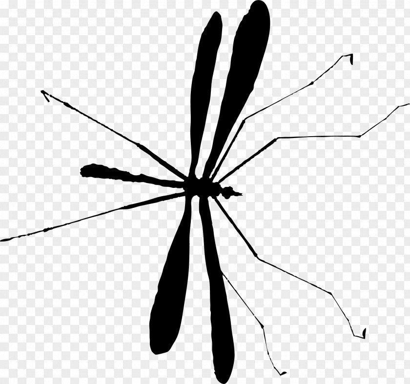 M Butterfly Mosquito Insect / 0d Black & White PNG