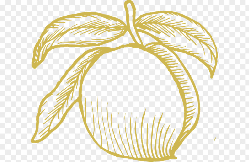 Ornament Plant Tree Drawing PNG