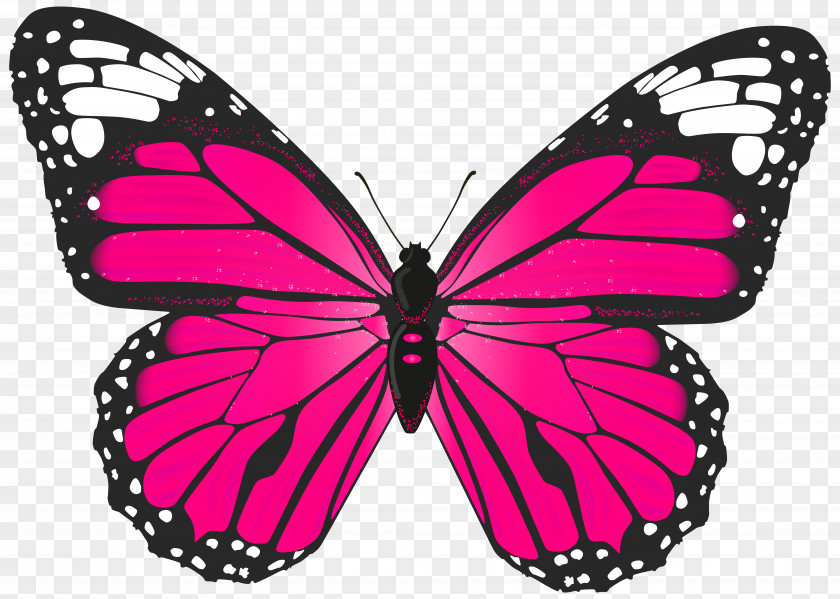 Pink Butterfly Transparent Clip Art Image The Toy Bush Bed & Breakfast PNG