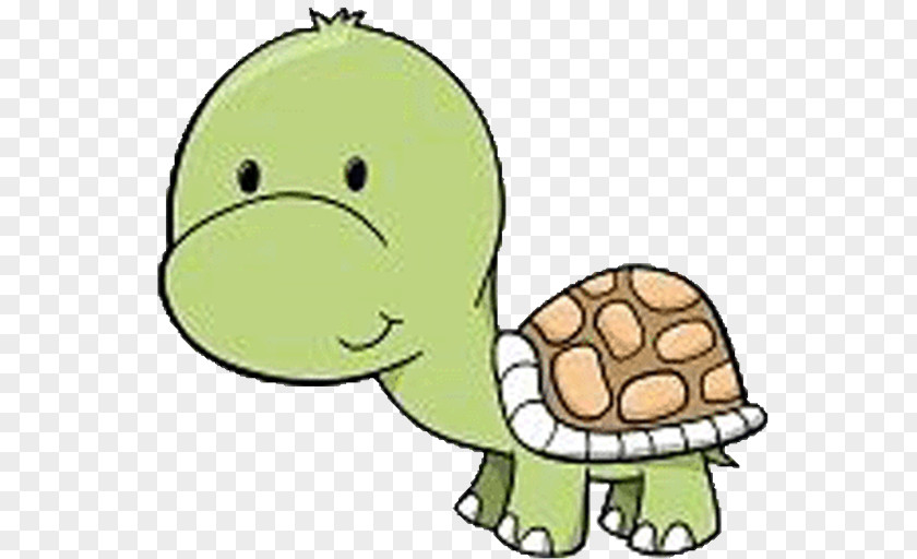 Turtle Drawing Cartoon Clip Art PNG