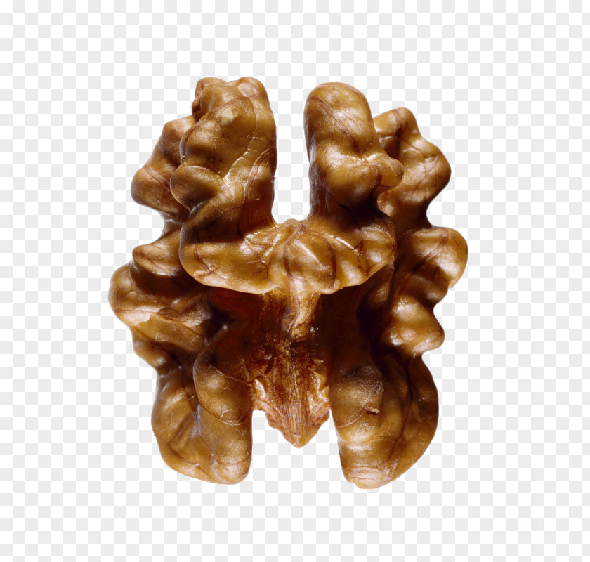 Walnut English Mixed Nuts PNG