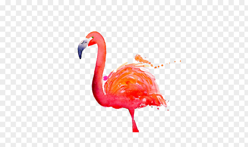 Watercolor Painted Flamingo Painting Dribbble PNG