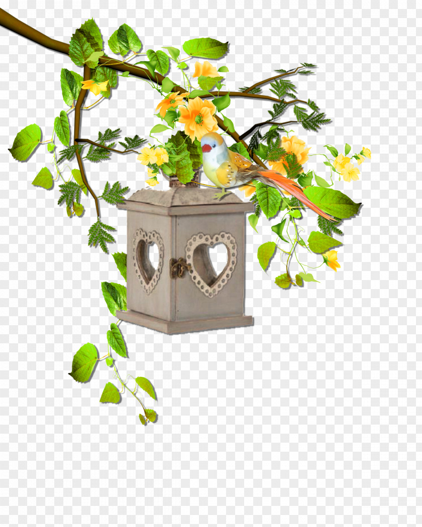 Flower Flowerpot Leaf Branching PNG