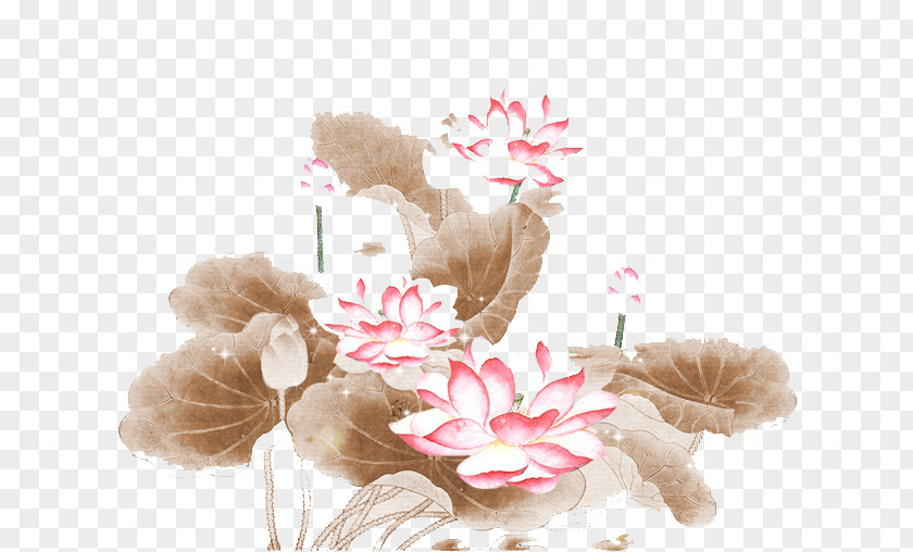 Lotus Poster Banner Nelumbo Nucifera PNG