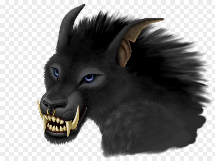 Werewolf Whiskers Desktop Wallpaper Snout Computer PNG