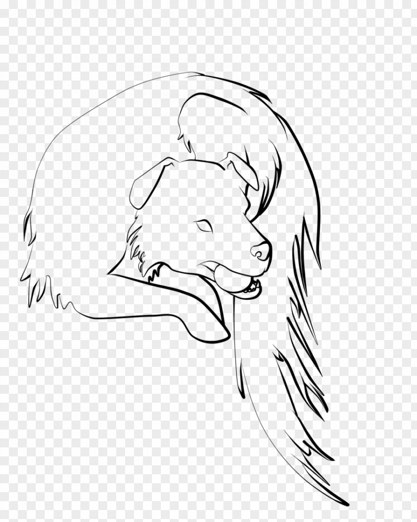 Border Collie Merle Line Art Drawing Carnivora Ear Sketch PNG