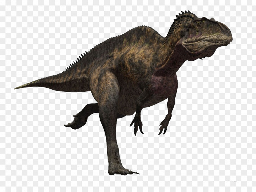 Carnage Acrocanthosaurus Triceratops Troodon Sauropelta Giganotosaurus PNG