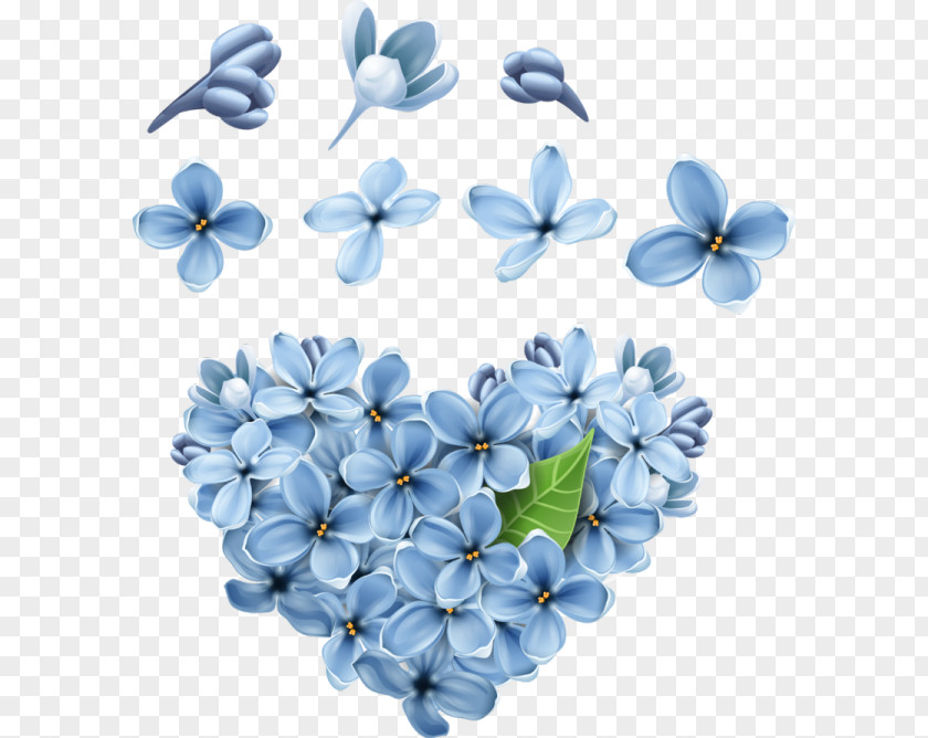 Flower Floral Design PNG