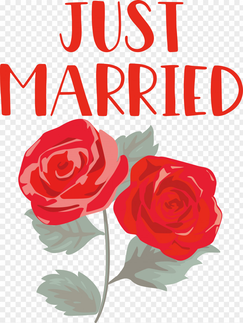 Just Married Wedding PNG