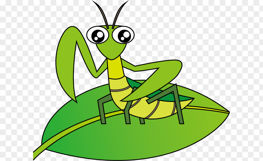 Mantis Mangzhong Clip Art PNG