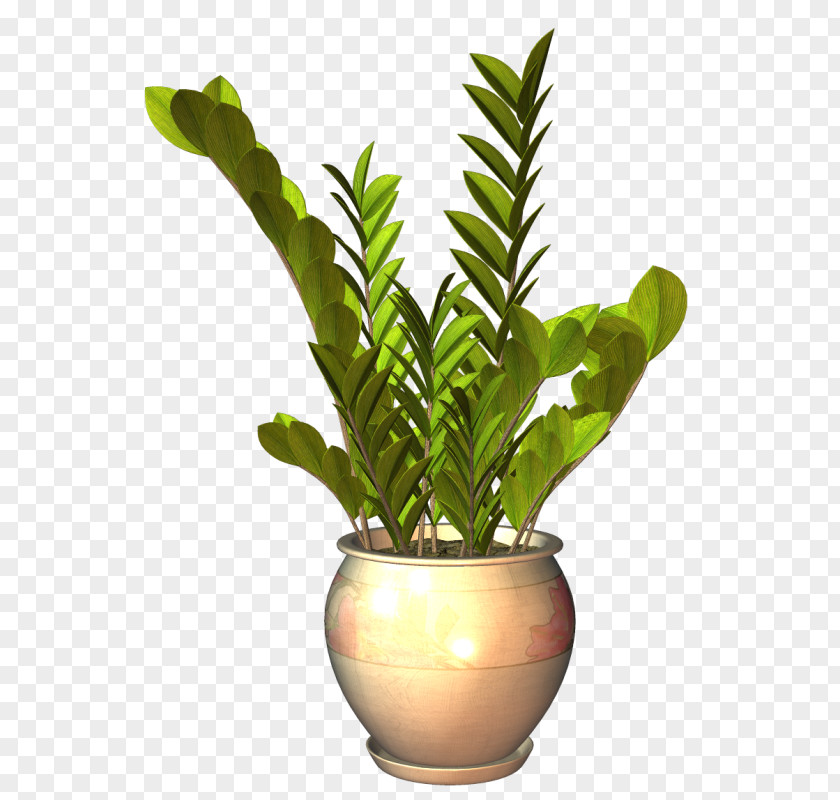 Arbuste Sign Flowerpot Leaf Houseplant Plants PNG