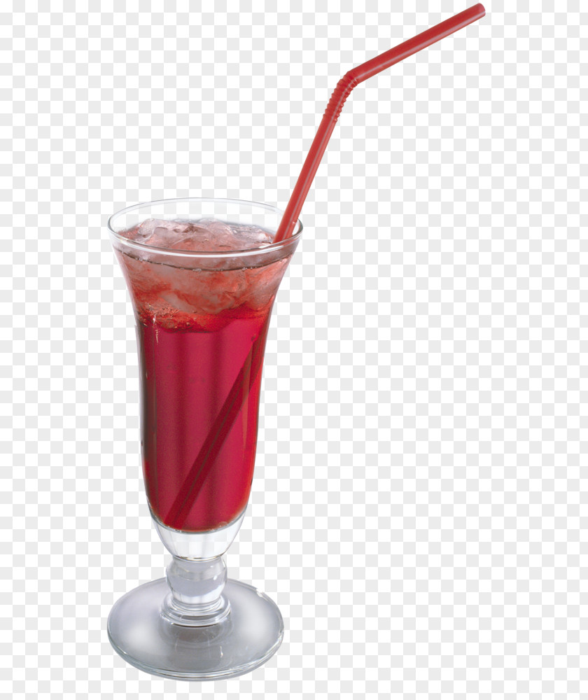 Cocktail Garnish Martini Fizzy Drinks Bachelorette Party PNG