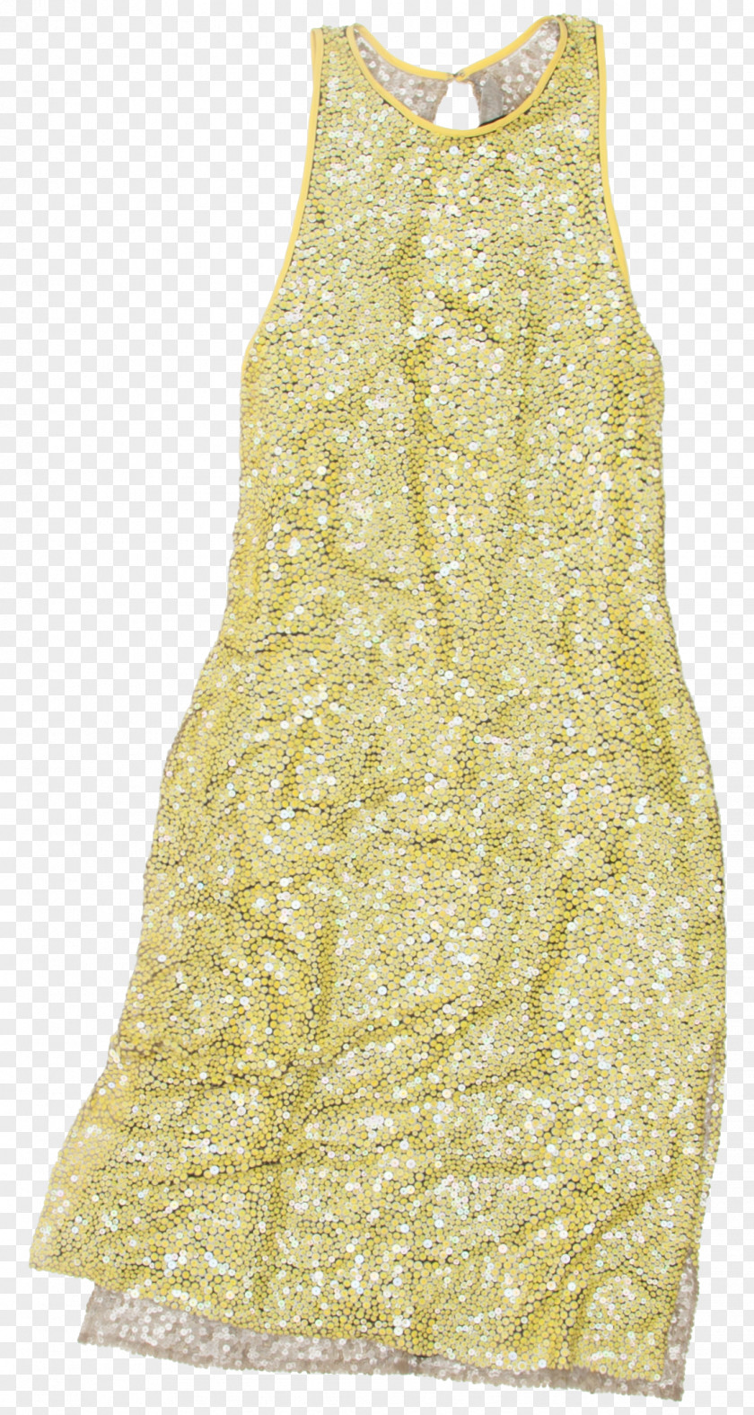 Eastern Style Cocktail Dress Clothing Gown PNG