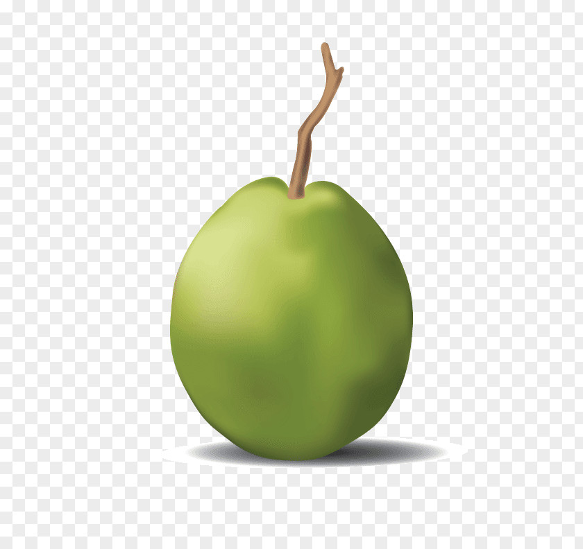 Guava Apple Granny Smith Food PNG