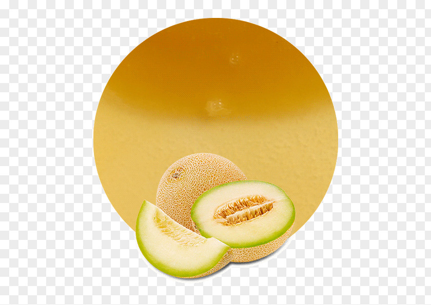 Juice Honeydew Cantaloupe Galia Melon Canary PNG