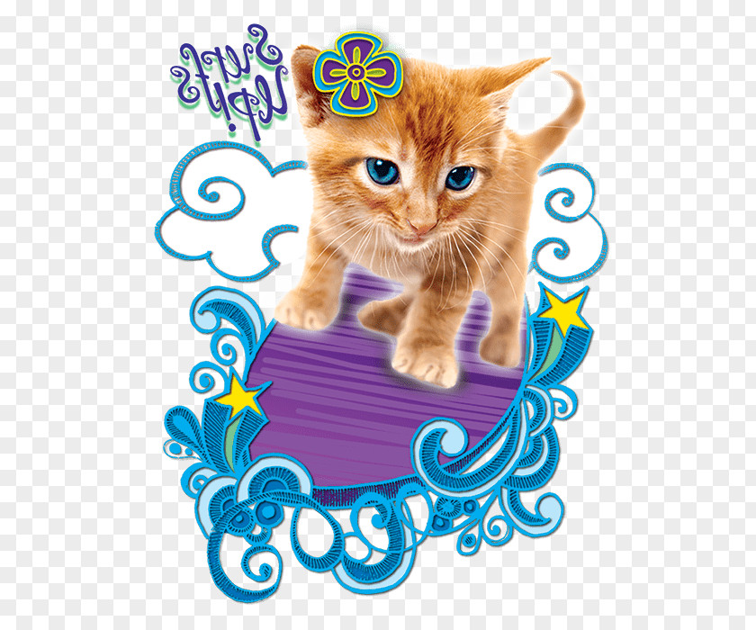 Kitten Whiskers Tabby Cat Domestic Short-haired PNG