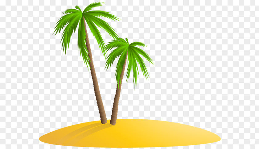 Palm Tree Island Arecaceae Islands Clip Art PNG