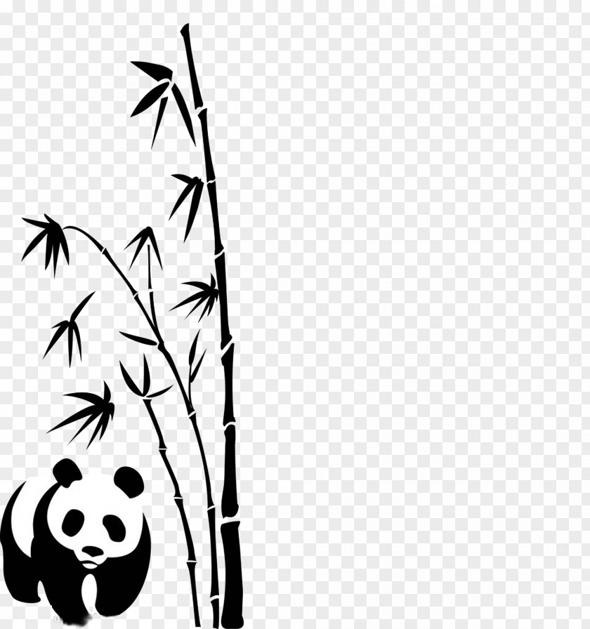 Panda And Bamboo Giant Euclidean Vector PNG