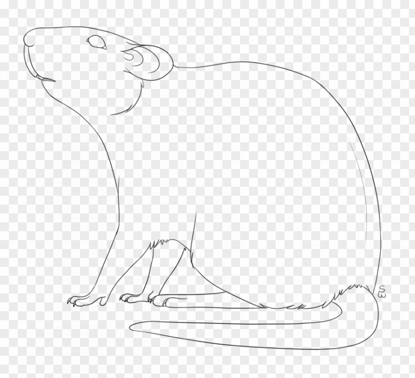 Rat Whiskers Line Art Persian Cat Sketch PNG