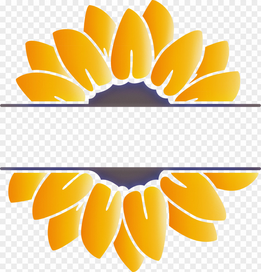 Sunflower Summer PNG