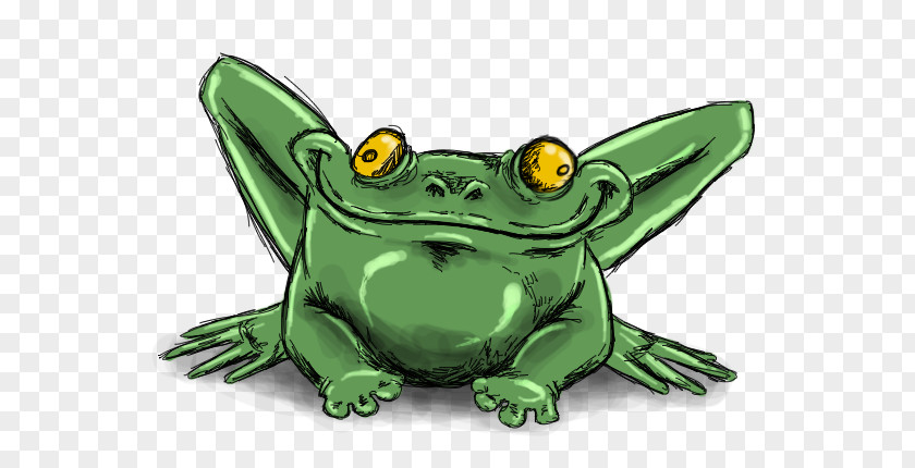Toad True Frog Tree Drawing PNG