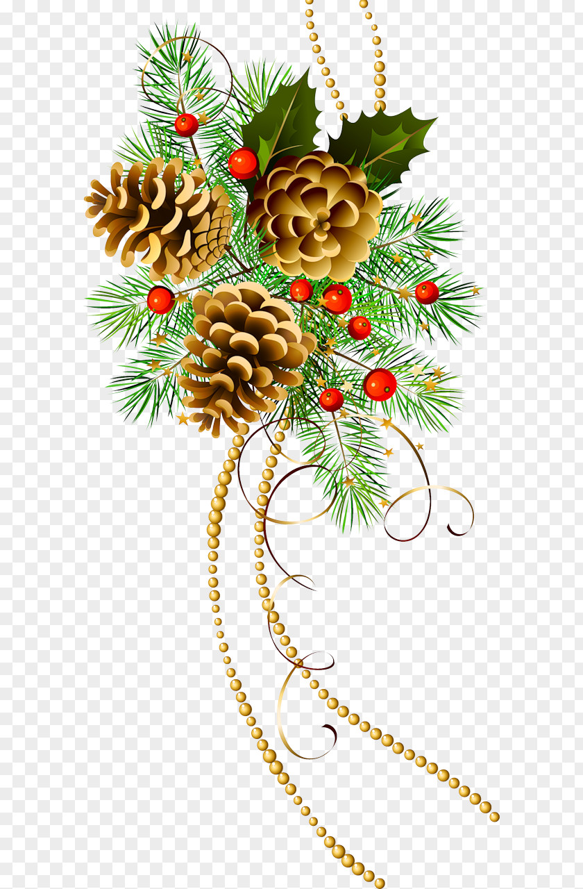 Christmas Pine Conifer Cone Clip Art PNG