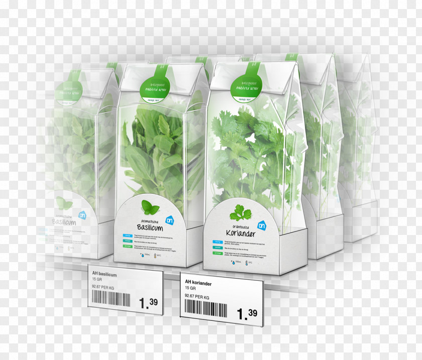 Design Brand Plant PNG