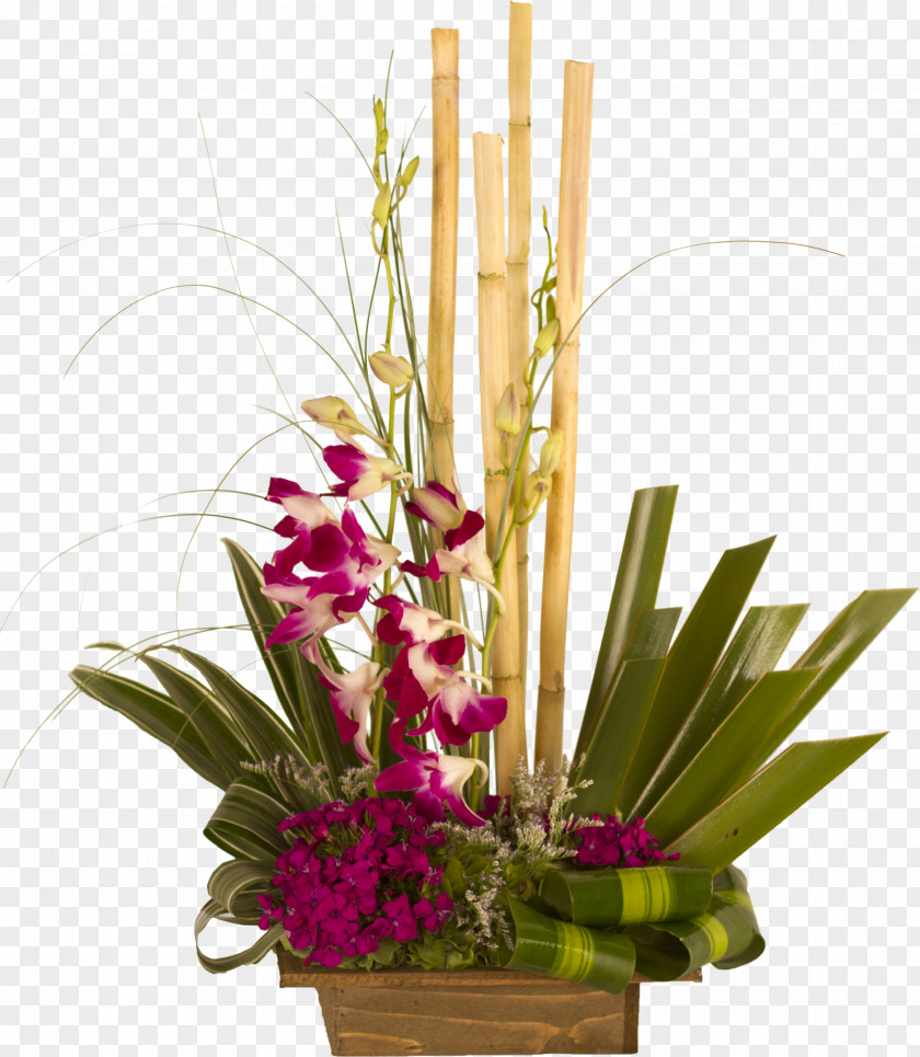 Flower Floral Design Ikebana Dendrobium Cut Flowers Orchids PNG