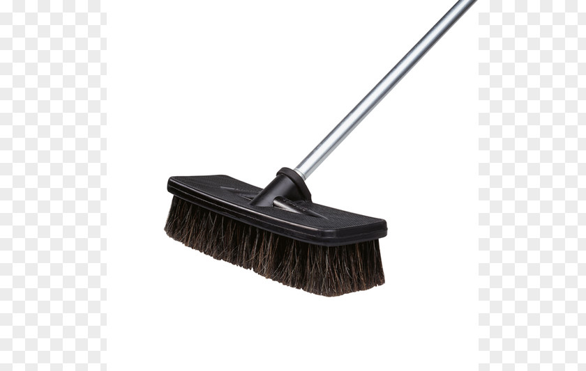 Horse Horsehair Mammoet Brush Cleaning PNG