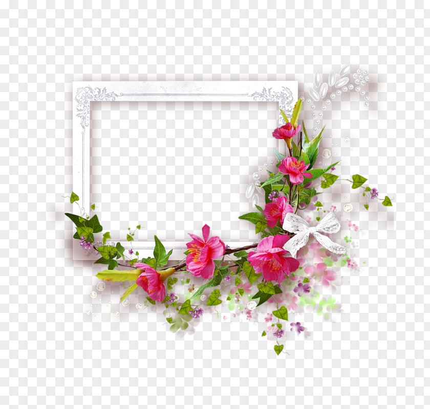 Roses Frame Picture Frames Photography Flower PNG